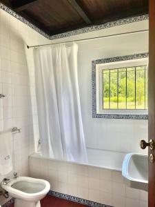 アロウカにあるQuinta de Bócoのトイレ、洗面台、窓のあるバスルーム +31枚の写真