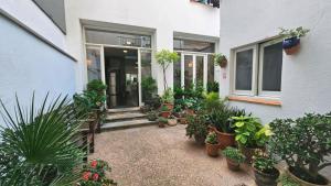Vonkajšia záhrada v ubytovaní Hostal Mediterráneo