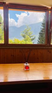a room with a large window and a table with scissors at Residence Larici Belvedere in Folgarida