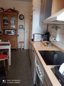 eine Küche mit Spüle und Arbeitsplatte in der Unterkunft Zimmer in Gostenhof Nürnberg in Nürnberg