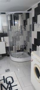 y baño con ducha y lavadora. en Casa M, en Câmpulung Moldovenesc 10 fotos más
