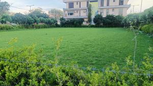 En have udenfor Radha Spiritual Apartment