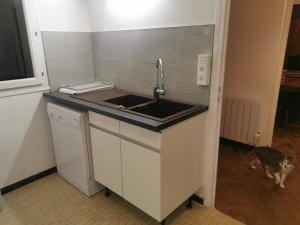 Η κουζίνα ή μικρή κουζίνα στο Spacieux appartement dans Villa +9 φωτογραφίες