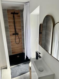a bathroom with a shower with a sink and a mirror at Magnifique deux pièces au cœur de espaly Saint-Marcel in Espaly-Saint-Marcel