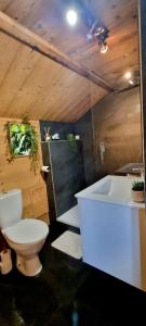 Koupelna v ubytování Studio type chalet