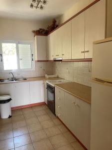 Kuchyň nebo kuchyňský kout v ubytování Tasos Manaritsas Rooms