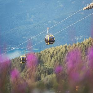 Φυσικό τοπίο κοντά σε αυτό το διαμέρισμα