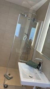 a bathroom with a shower and a white sink at Haus im Weinberg in Ellenz-Poltersdorf