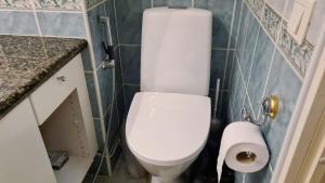 a bathroom with a white toilet and a sink at 3-bedroom lake view and near center apartment with sauna in Lahti