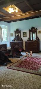 a living room with two tables and a red rug at Casale del Cantico in Brenta