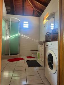 a bathroom with a washing machine and a shower at Les Alpinias in Sainte-Anne