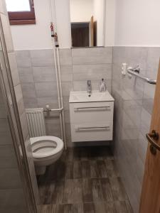 Koupelna v ubytování Byt v řadovém domě