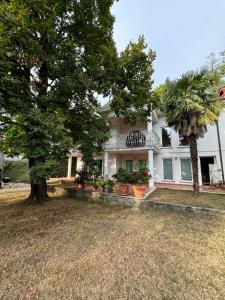 a white house with a tree in front of it at Vila Giovana in Vipava