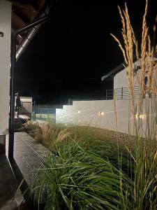 Imagen de la galería de Apartman na Drini, en Loznica 11 fotos más