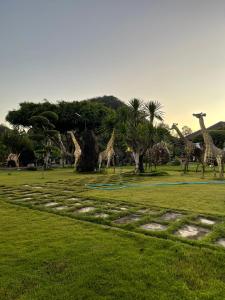 Tuy AnSATURDAY Homestay Tuy Hòa - Phú Yên的相册照片