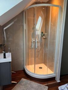 a shower in a bathroom with a sink at Maison COMet avec jardin et parking in Orléans