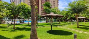 A garden outside SOLO FAMILIAS TORRESOL