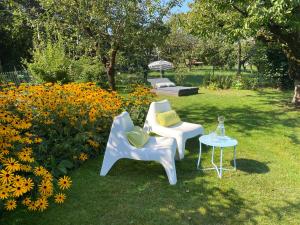 Plan-les-OuattesLa Belle-Vie Genève - une escapade nature的院子里放着鲜花,放着两把椅子和一张桌子