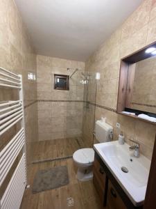 a bathroom with a toilet and a shower and a sink at Rai pe Deal Chalet in Leordina