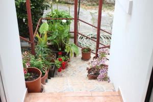 Zahrada ubytování Bozovic Apartments I