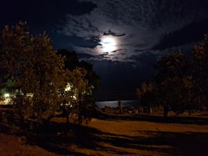 Paesaggio naturale nelle vicinanze dell'appartamento