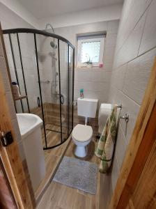 a bathroom with a shower and a toilet and a sink at Dámszarvas Vendégház in Újudvar