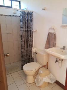 a bathroom with a toilet and a sink and a shower at Cabinas en Playas del Coco in Sardinal +31 photos