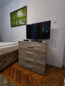 TV a/nebo společenská místnost v ubytování Bozovic Apartments I