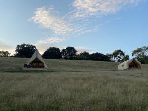 纽波特Usk View Glamping Caerleon的田间中方的2个帐篷