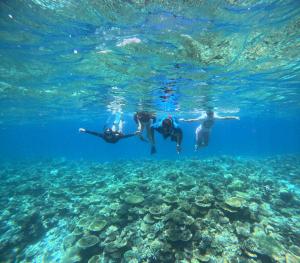Hosté ubytování La Palma Suites