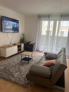 TV a/nebo společenská místnost v ubytování Champion suites
