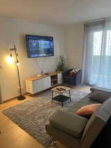 TV a/nebo společenská místnost v ubytování Champion suites