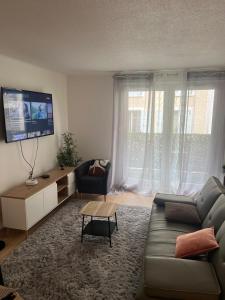 TV a/nebo společenská místnost v ubytování Champion suites