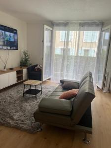 TV a/nebo společenská místnost v ubytování Champion suites