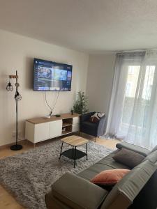TV a/nebo společenská místnost v ubytování Champion suites