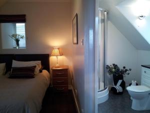 um quarto com uma cama, um WC e um candeeiro em Links Lodge em Lossiemouth