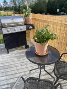 Attrezzature per barbecue disponibili per gli ospiti dell'appartamento