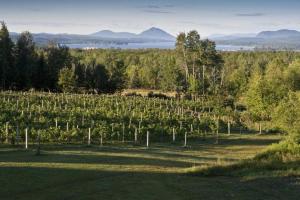 Paesaggio naturale nelle vicinanze dell'appartamento