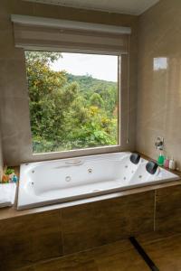 Salle de bains dans l'établissement Pousada Gostinho de Sítio 63 autres photos