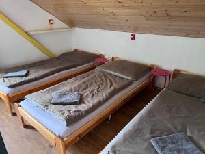 Postel nebo postele na pokoji v ubytování Chata pod hradem