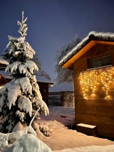 Fiechtehüsli (tiny house)冬天相片