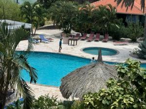 a man standing next to a swimming pool at Tropical Beach Villa with Ocean View in Blue Bay