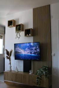 Televiisor ja/või meelelahutuskeskus majutusasutuses Aria Apartman Sokobanja