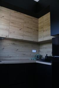 Köök või kööginurk majutusasutuses Aria Apartman Sokobanja