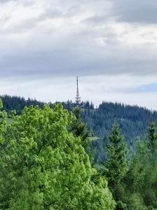 Przyroda w pobliżu tej kwatery prywatnej
