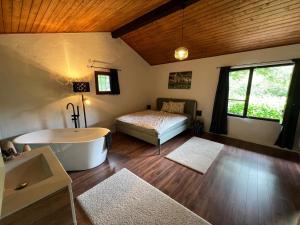 a bedroom with a bed and a tub in a room at Rustico Efrina, neu renoviert in Frasco +4 photos