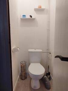 a bathroom with a white toilet in a room at Jolie maison de bourg tout équipée 10km d'Ambert in Saint-Amant-Roche-Savine +10 photos