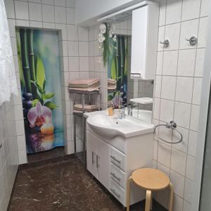 a bathroom with a sink and a mirror at Ferienhaus Luise in Sebnitz