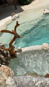 a bird statue in a pool of water at Casa Yaxunah in Yaxuná