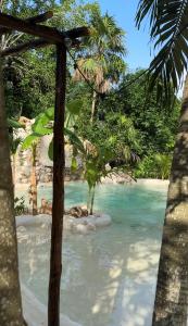 a beach with palm trees and turquoise water at Casa Yaxunah in Yaxuná